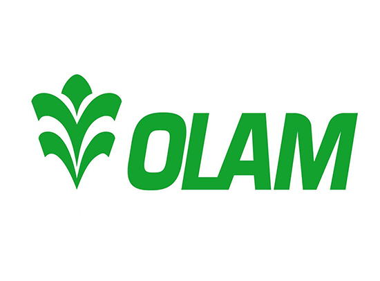 olam
